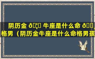 阴历金 🦟 牛座是什么命 🕸 格男（阴历金牛座是什么命格男孩）